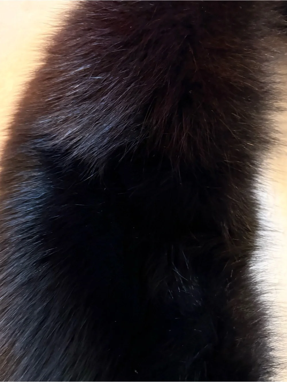 Black Luxurious Fox Fur Wrap Collar — 48 inches long